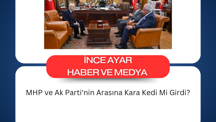 MHP ve AK Parti'nin Arasına Kara Kedi Mi Girdi?